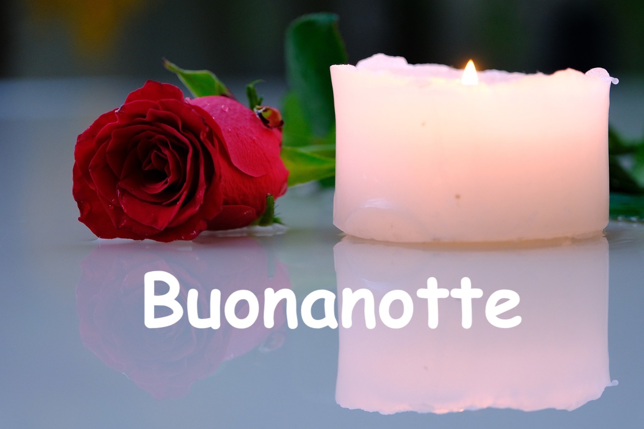  una rosa bellissima e una candela creano una atmosfera romantica